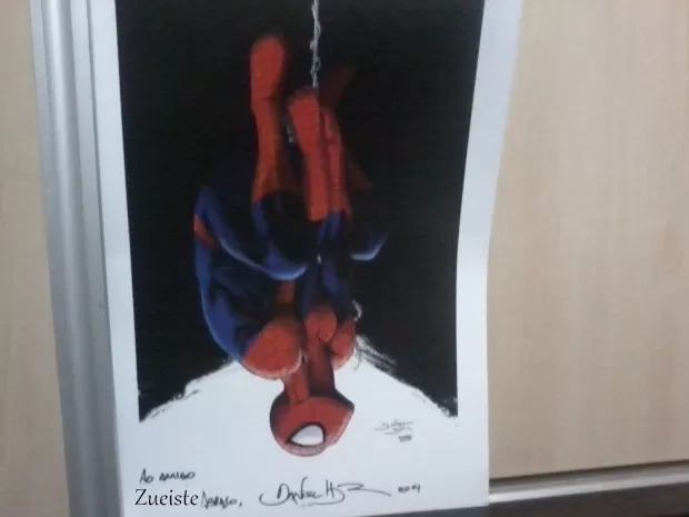 Poster do Aranha