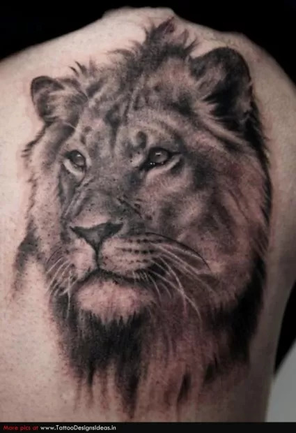 t1_Lion-Tattoos-animal_700