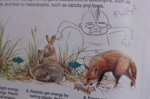 funny-textbook-doodles-5